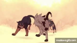 Warrior cats that deserved a second chance or a change