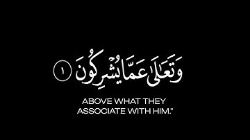كروما شاشه سوداء القرآن الكريم 🍃┇تلاوة من سورة النحل 🍃┇ قاري مشاري بن راشد العفاسي 🍃