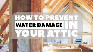 How to Prevent Water Damage in Your Attic