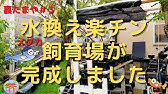 屋外エアポンプの防水対策 めだか Youtube