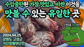 이거 기다리는 분들 많으시죠?😭가장 비싸지만 가장 맛있다는 ‘북쪽바다의 진미’,그 국내 유일 산지를 찾아갔습니다(생존왕 생선선생).