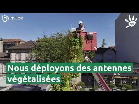 Les antennes telecoms urbaines végétalisées Mube / TDF