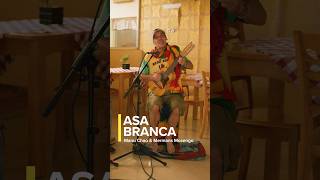 You&#39;re watching #ManuChao and #MermansMosengo performing the Brazilian folk song, &quot;Asa Branca!&quot;