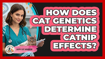 How Does Cat Genetics Determine Catnip Effects? - Happy Cat Handbook