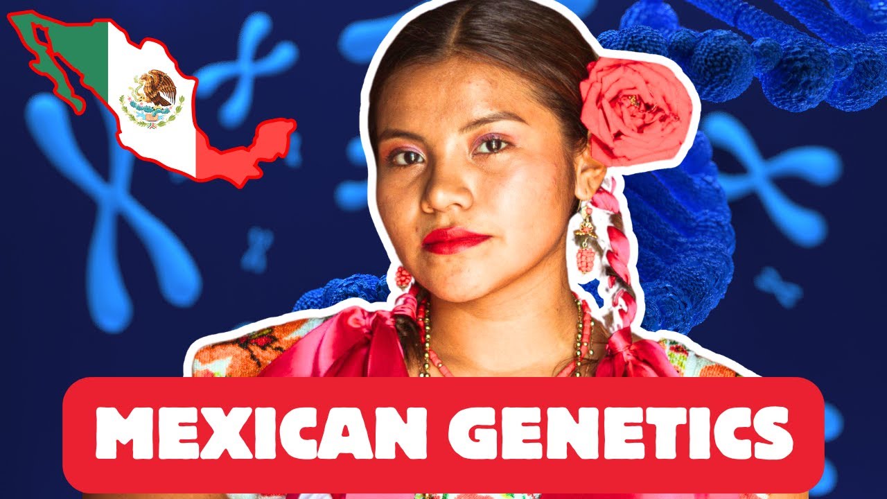 In colonial Latin America, the Spanish built a racial hierarchy so detailed it had names for dozens of mixed-race combinations. Mestizos, castizos, cholos—each category carried its own rank and...