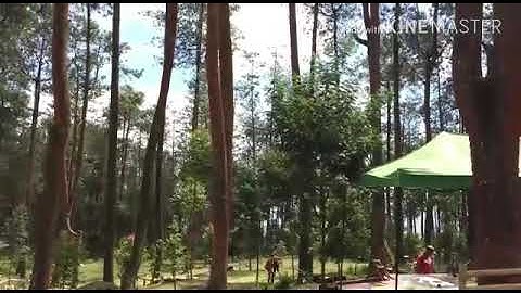 wisata alam jumprit temanggung