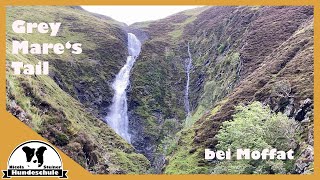 Wasserfall Grey Mare's Tail in Schottland | Wildnis Natur | wilderness Scotland nature waterfall