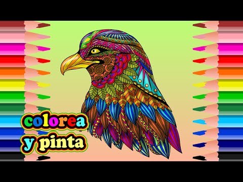 Mandala Eagle to Coloring - Adult Coloring Pages. - YouTube