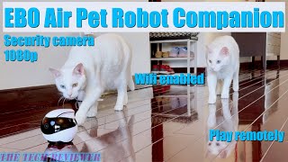 EBO Air Pet Robot Companion: A cool little mobile pet and security camera that plays with your cats!