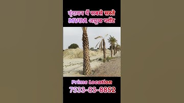 वृन्दावन में सबसे सस्ते #MVDA #Approved #Plots in #Vrindavan #radhakrishna  #premanandjimaharaj