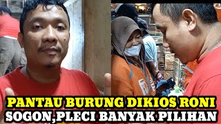 SOGON,PLECI BANYAK PILIHAN DIKIOS RONI!!! CEK HARGA BURUNG HARI INI DIPASAR BURUNG PRAMUKA