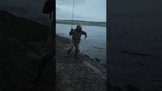 Дикий клёв!!!