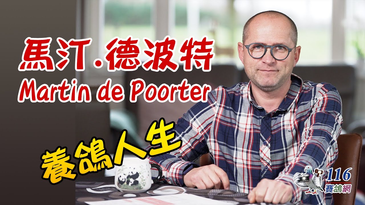 【強豪名家】荷蘭-馬汀.德波特｜【Super Fancier】Martin De Poorter
