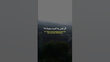 راحه نفسيه قران كريم #اكسبلور #المصحف #quran #دويتو #القزابري #قرآن #الرحمن #راحة_نفسية