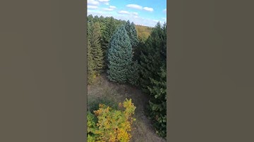 Testing the Insta360 GO3S camera on FPV.  #drone #fpv #fpvdrone #fpvdronecinematic