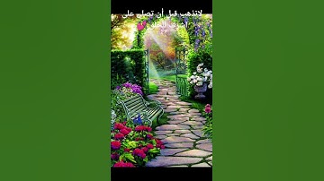 #explore #اكسبلور #قرآن_كريم #لايك #دويتو #سورة_الكهف_كاملة #تيك_توك #راحة_نفسية #حالات_واتس #duet