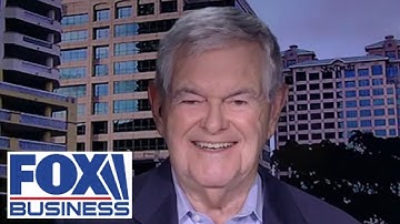 Newt Gingrich: Democrats will find once again they are on the losing side