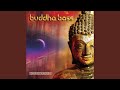 Buddha bass beat mix bonus track