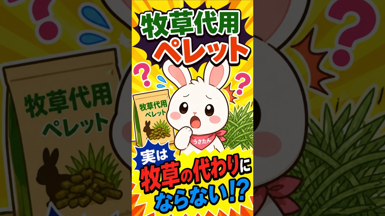【牧草代用ペレットは牧草の代わりにならない?】#うさぎ