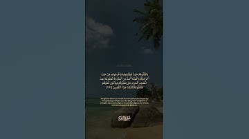 سورة البقرة الآية رقم 191 بصوت مشاري راشد العفاسي مع الترجمة الإنجليزية #القران #لايك #اكسبلور