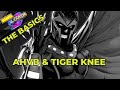 MvC2 THE BASICS: AHVB & TIGER KNEES