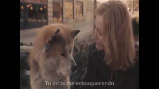 Richard Marx - Right Here Waiting legendado.6 (Hachiko : A Dog's Story Tribute)