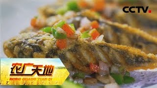 《农广天地》 20180129 松江鲈鲜蟹黄肥 | CCTV农业