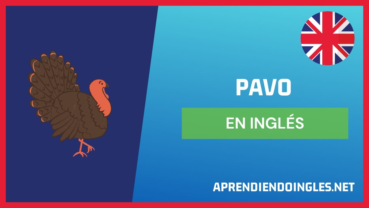 Cómo se dice en inglés puedo ver