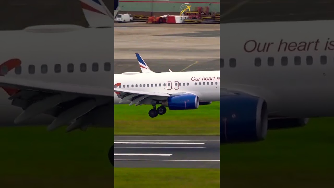 Rex Airlines Boeing 737 Landing 