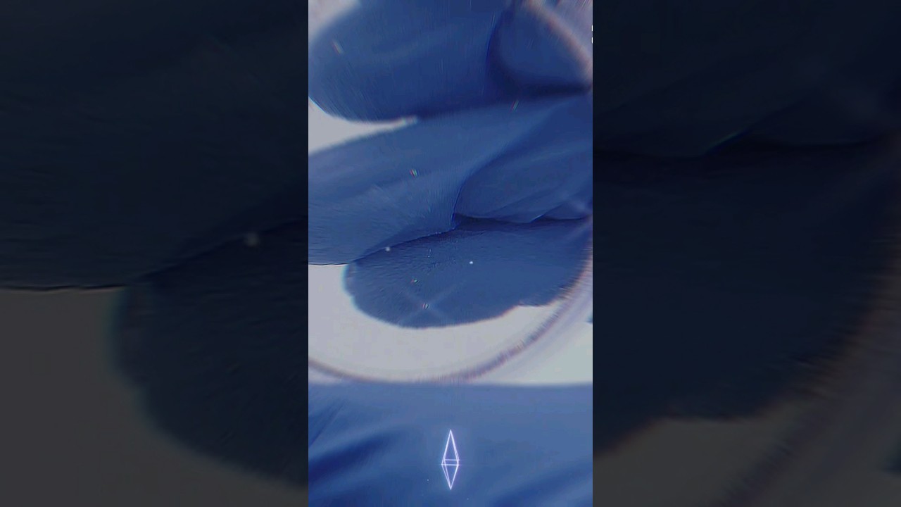 Clones de cannabis en Barcelona España 