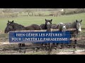 [Minute Santé Boerhinger Ingelheim] Gestion des pâtures