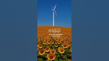 قُلْ هُوَ اللَّهُ  ⚘️💙سورة الإخلاص حالات واتس اب دينية مؤثرة Quran Status ⚘️ ⚘️