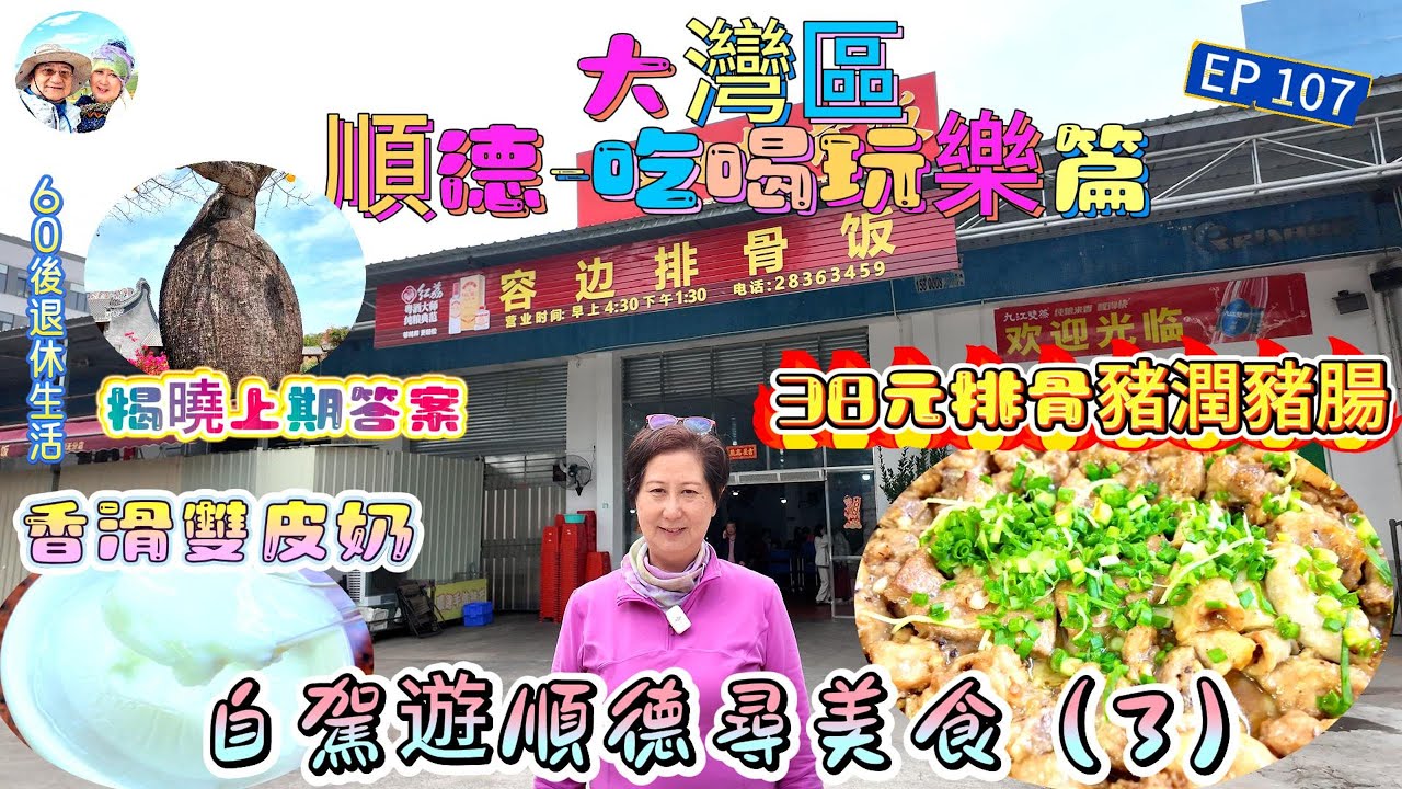 323.大灣區--順德-吃喝玩樂篇（EP107) ，  #順德  #容桂 #容邊排骨 #特色蒸排骨 #1蚊一位白飯任食 #抵食夾大件  #啫啫豬雜煲 # 美食  #尋味順德 #港車北上 #自駕遊