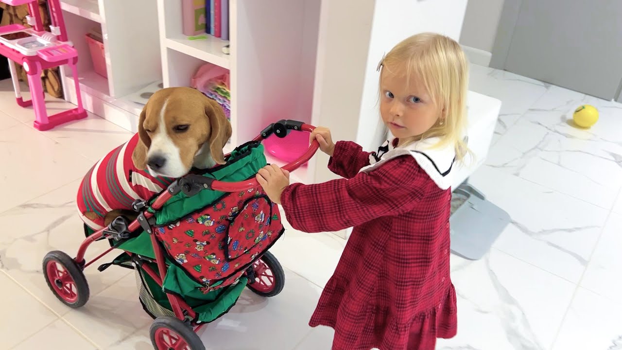 ШЕРЛОК ХОЧЕТ НОВЫЙ ХВОСТ. БРОС ШОУ ПЕТ