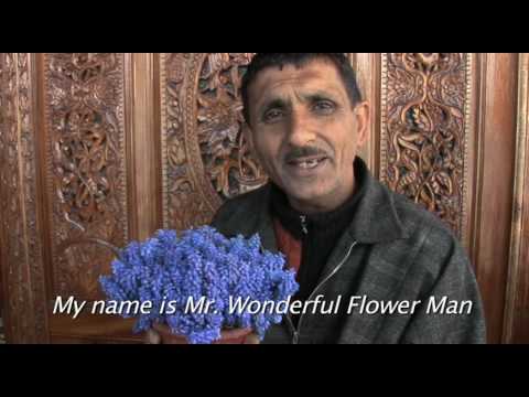 MR. WONDERFUL FLOWER MAN - KASHMIR