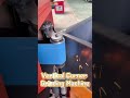 Vertical Corner Grinding Machine | Stainless Steel Weld Corner Polishing