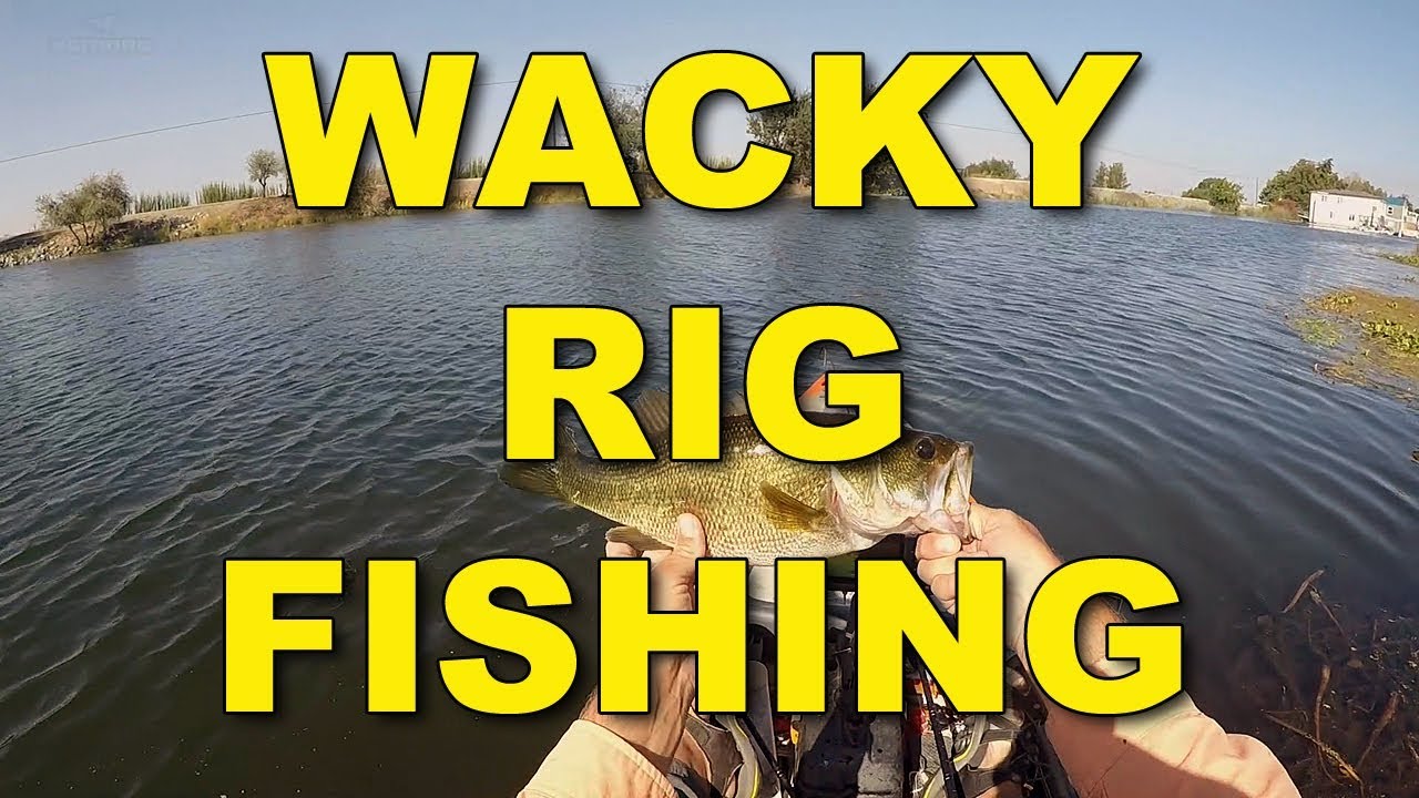 Wacky Rig Fishing  The Ultimate Bass Fishing Resource Guide® LLC