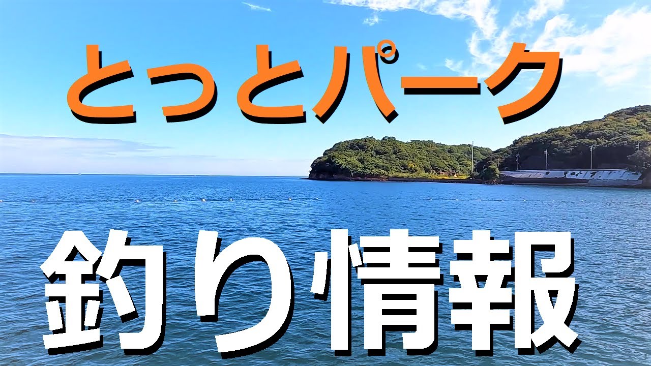 日本最強の海釣り公園とっとパーク 秋の釣りシーンと攻略情報 Youtube