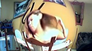 Capture 20120420