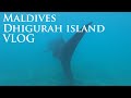 Maldives -DHIGURAH ISLAND ! Vlog