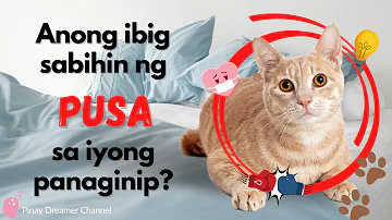 [DREAM INTERPRETATION - Tagalog/Filipino] Ano ang ibig sabihin ng PUSA sa inyong panaginip?