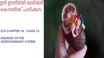 ICD-10-CM chapter 14, diseases of the genitourinary system