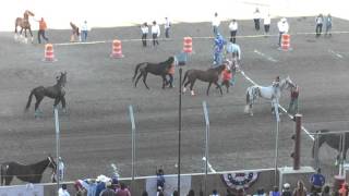 All Nations Indian Horse Relay Championship 2015 Billings Montana