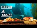How to freedivespearfish ca new series  episode 1