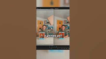 Premiere Pro Export Looks Wrong? Do This!