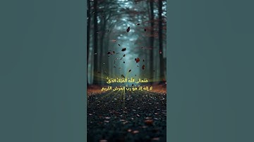من روائع التلاوات - الشيخ/ سلطان العمري