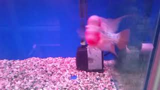 20170925 202548