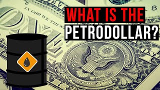 What is the Petrodollar?