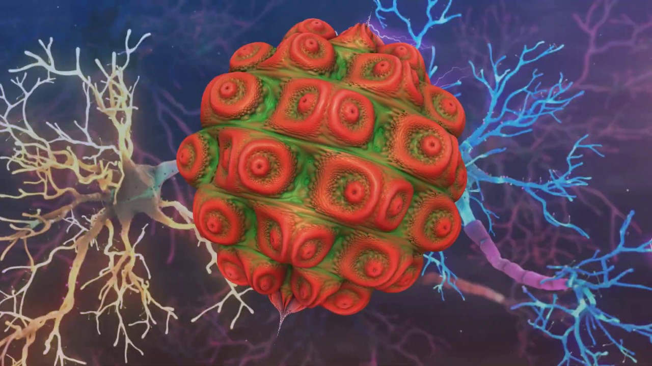 Fractually Incorrect | Richard Sizer