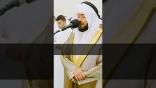 Ахмад ан-Нуфейс | Сура Ан-Ниса (Женщины) Аяты 138-139 #коран #чтениекорана #красивоечтениекорана